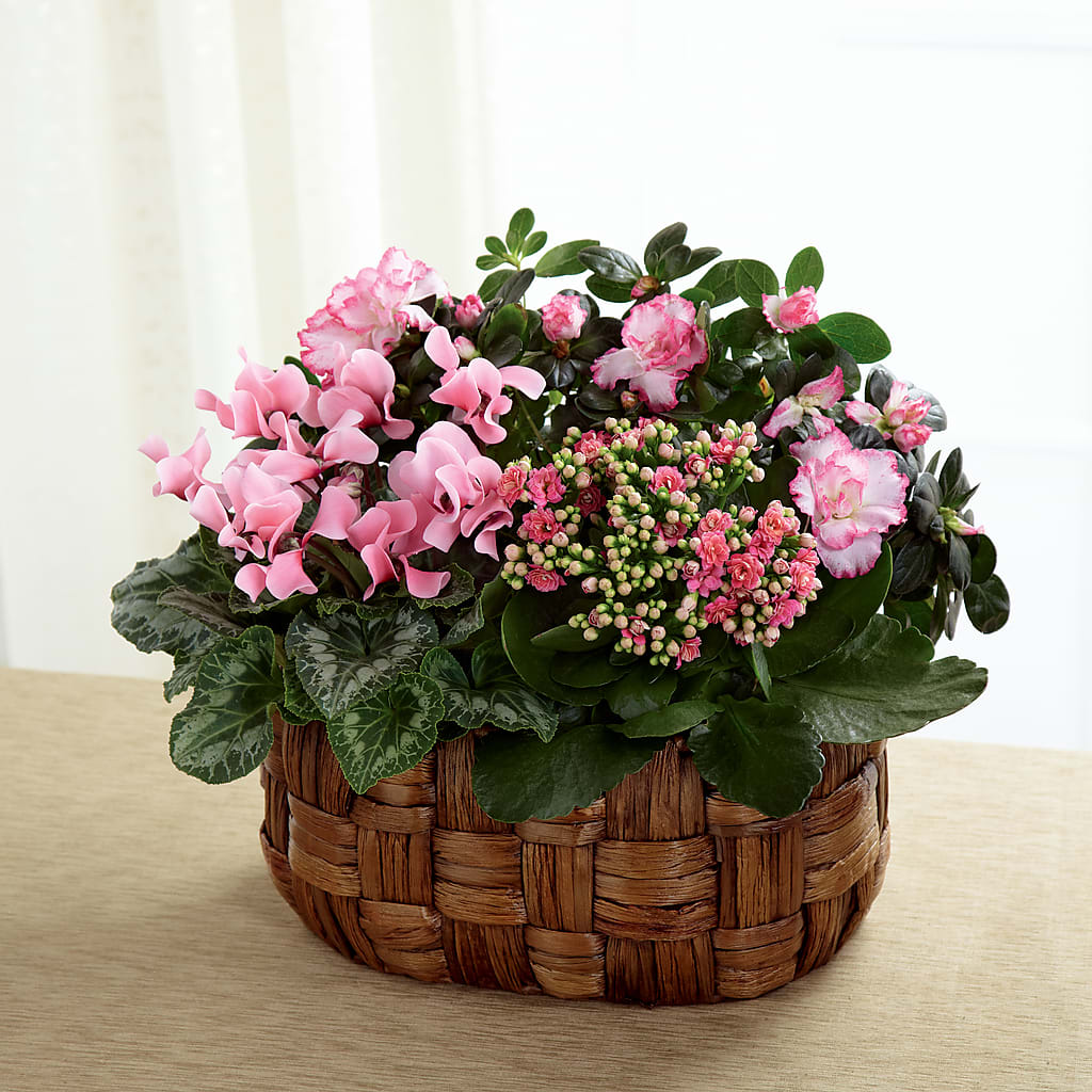 Pink Assortment – Kalas Events Inc, Orlando FL