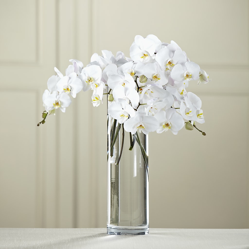 White Phalaenopsis Bouquet – Kalas Events Inc, Orlando FL