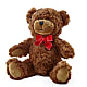 Adorable Plush Bear –  Kalas Events Inc, Orlando FL