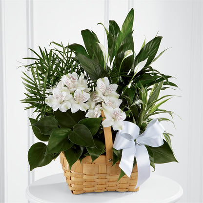 Peace & Serenity Dishgarden –  Kalas Events Inc, Orlando FL