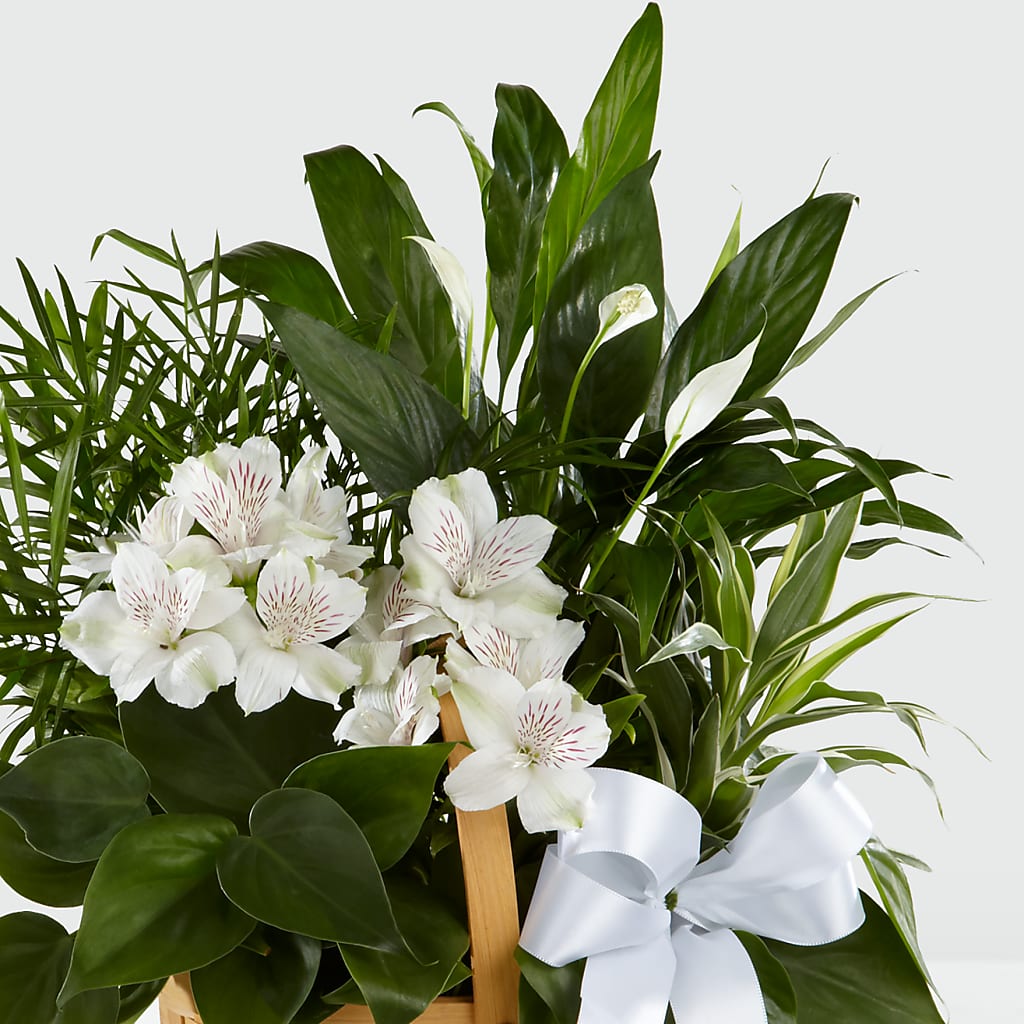 Peace & Serenity Dishgarden –  Kalas Events Inc, Orlando FL