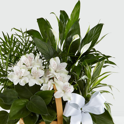 Peace & Serenity Dishgarden –  Kalas Events Inc, Orlando FL