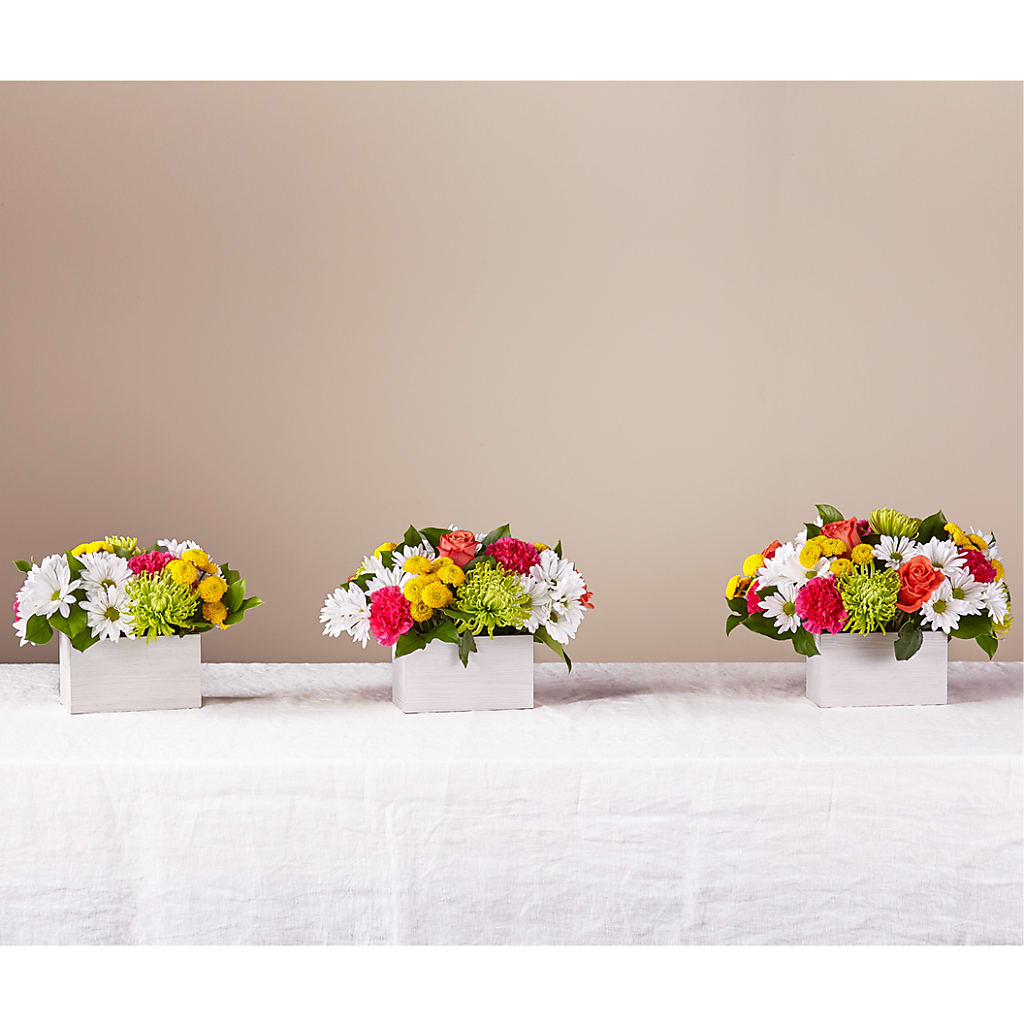 Sorbet Bouquet –  Kalas Events Inc, Orlando FL