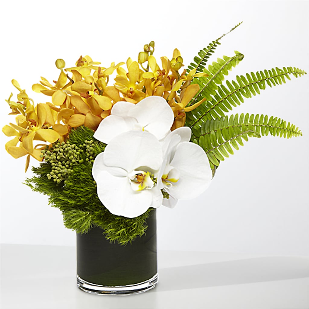 The Tropics –  Kalas Events Inc, Orlando FL