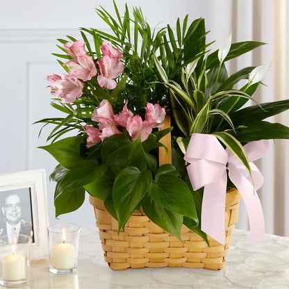 Living Spirit Dishgarden –  Kalas Events Inc, Orlando FL