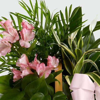 Living Spirit Dishgarden –  Kalas Events Inc, Orlando FL
