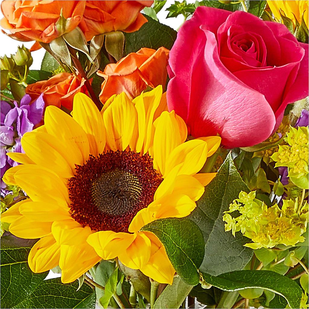 Vibrant Greetings Bouquet –  Kalas Events Inc, Orlando FL
