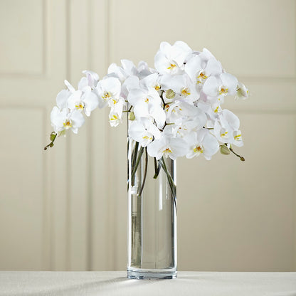 White Phalaenopsis Bouquet –  Kalas Events Inc, Orlando FL